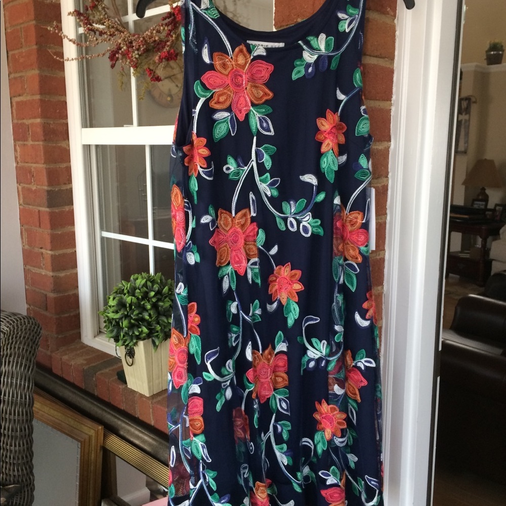 NWT Robbie Bee lined dress